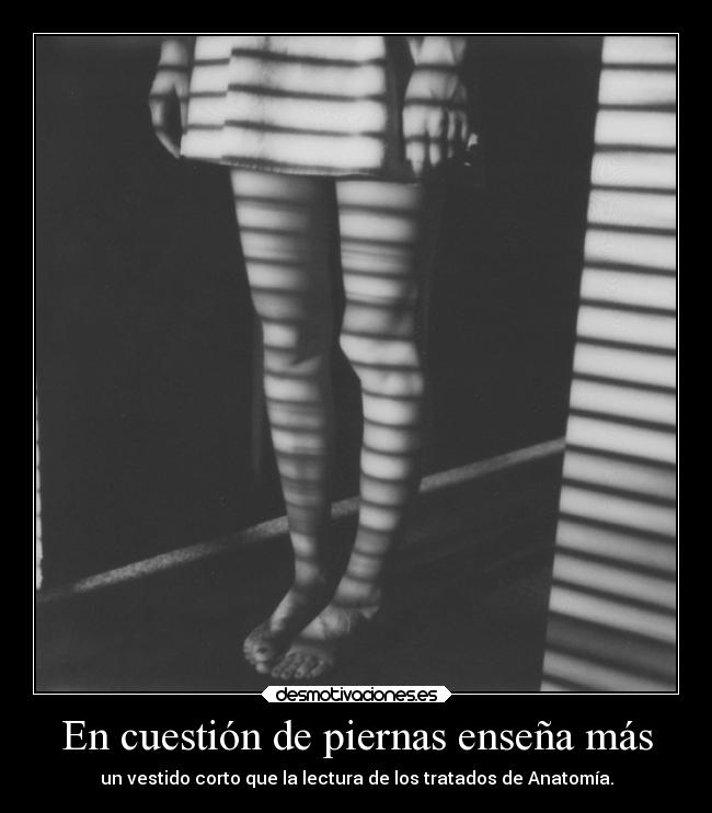 En cuestión de piernas enseña más - 