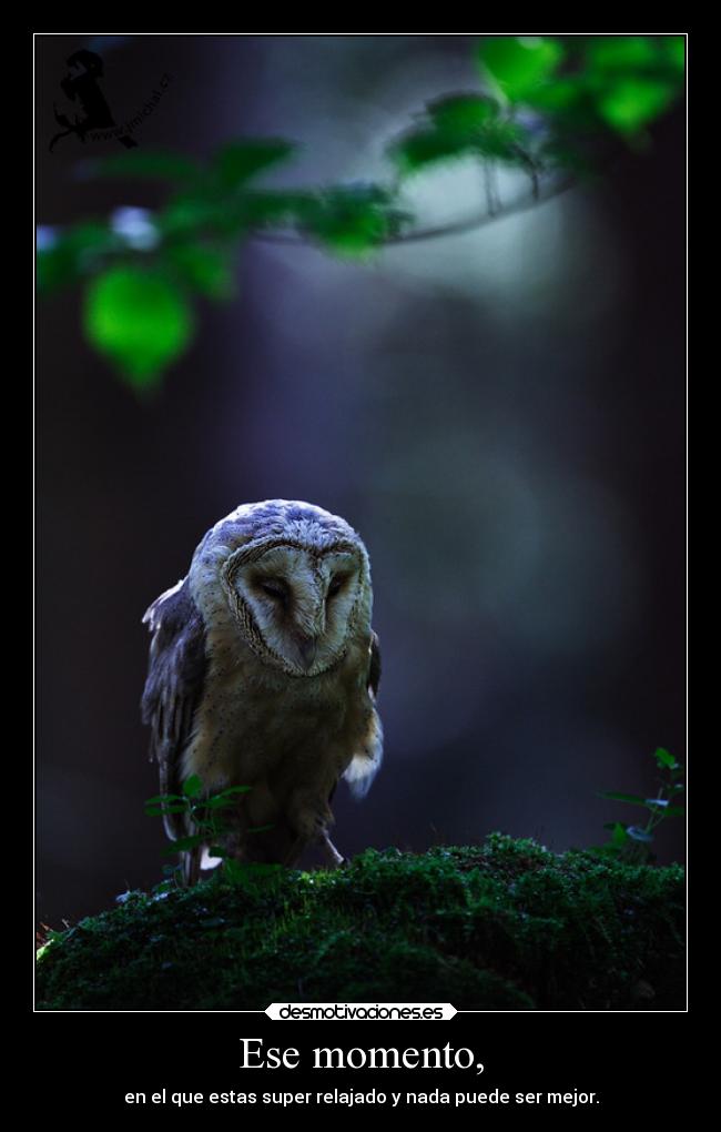 Ese momento, - en el que estas super relajado y nada puede ser mejor.