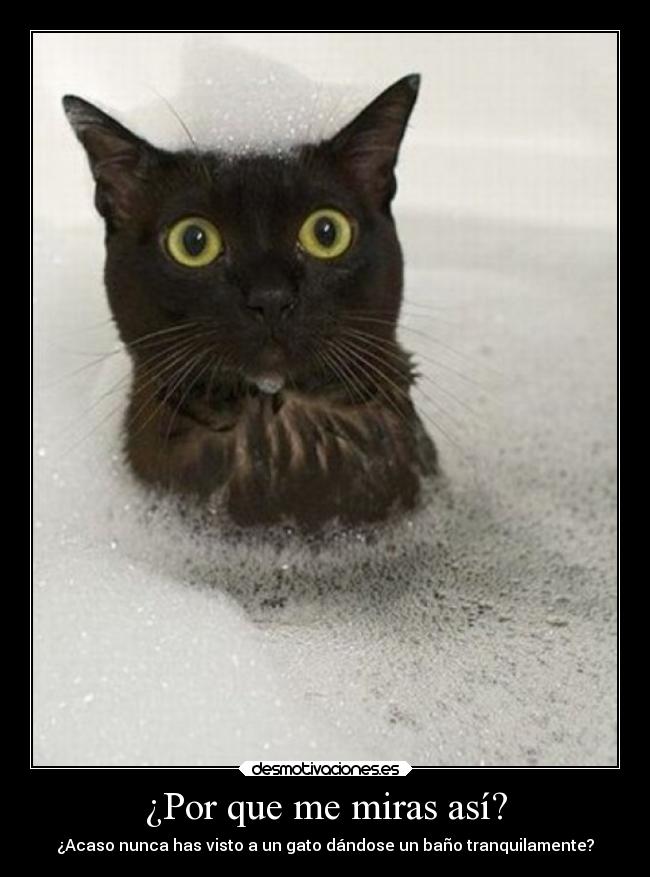 ¿Por que me miras así? -