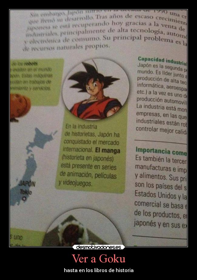 Ver a Goku - hasta en los libros de historia