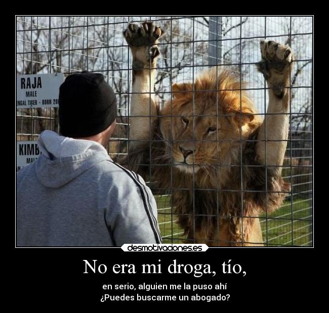 No era mi droga, tío, - 