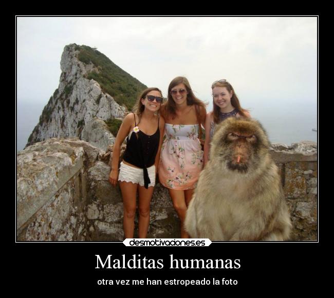 Malditas humanas -