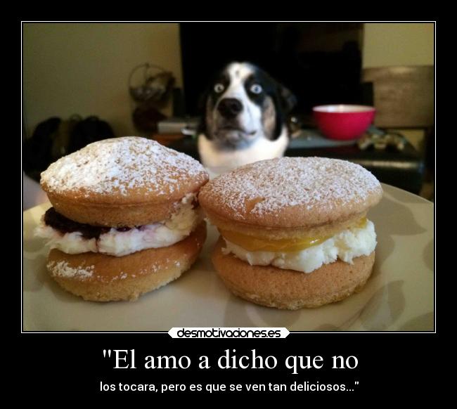 El amo a dicho que no -