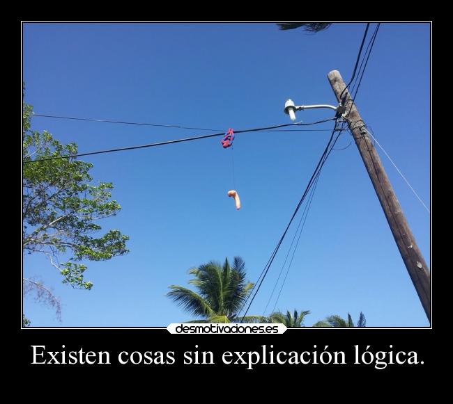 carteles humor que asco dan los tags obligatorios desmotivaciones