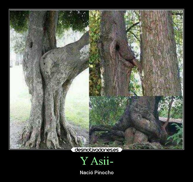 Y Asii- - Nació Pinocho