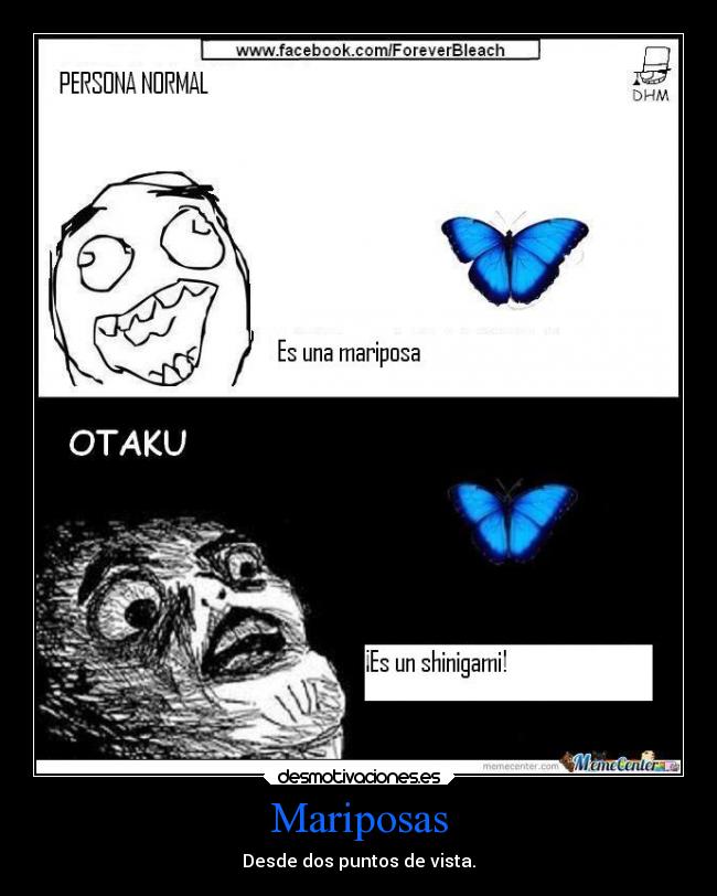 Mariposas - 