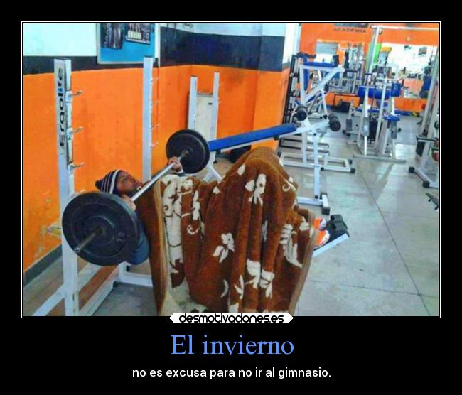 carteles humor saunaincluido desmotivaciones