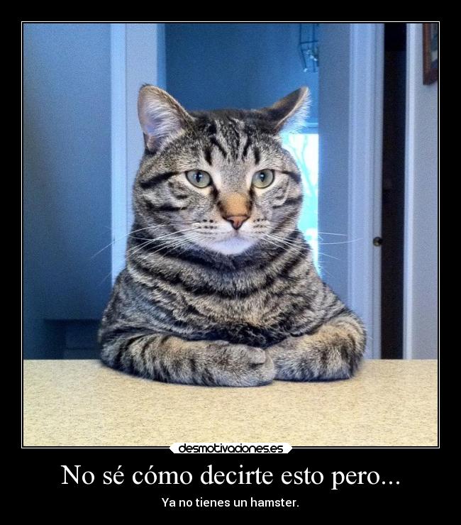 No sé cómo decirte esto pero... -