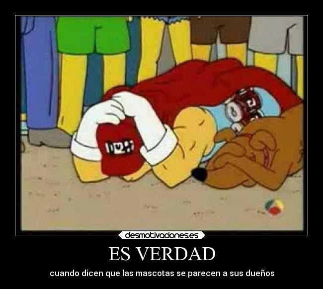 carteles humor verdad cuando dicen mascotas parecen duenos los simpson duffman huesos desmotivaciones