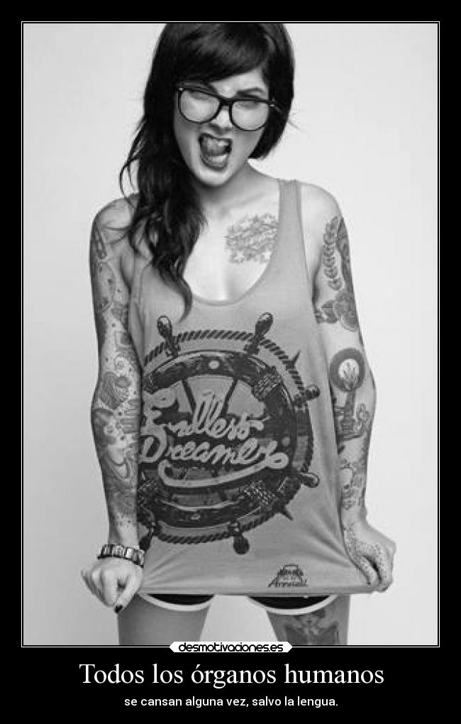 Todos los órganos humanos -