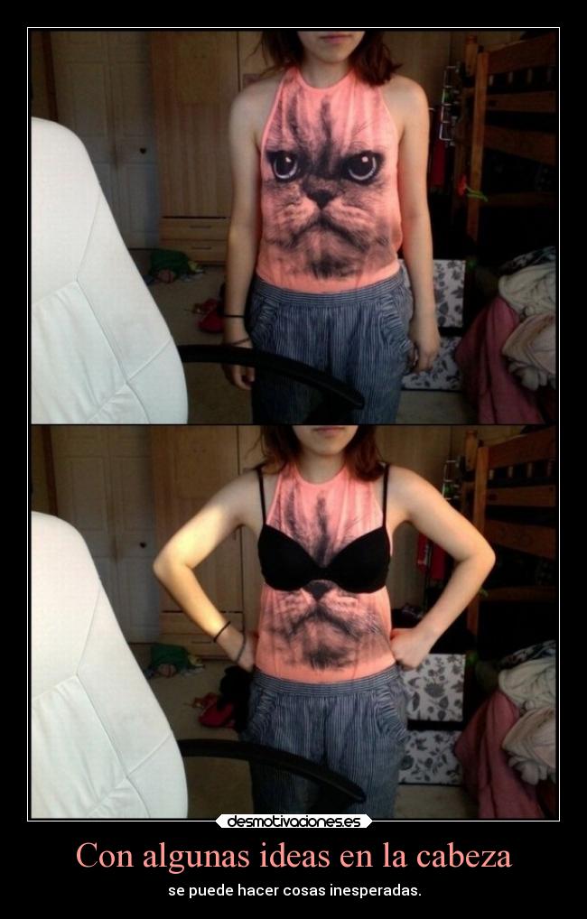 carteles ideas ideas devilbrigade gato polera ropa lentes sujetador sosten cabeza desmotivaciones