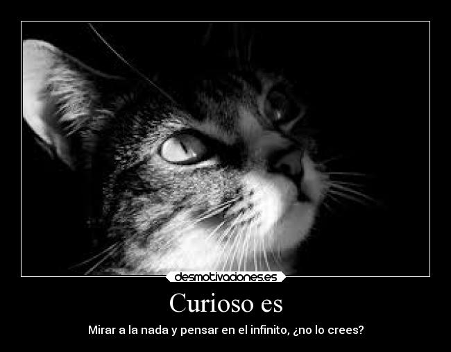 Curioso es - Mirar a la nada y pensar en el infinito, ¿no lo crees?