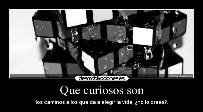 Que curiosos son - los caminos a los que da a elegir la vida, ¿no lo crees?.