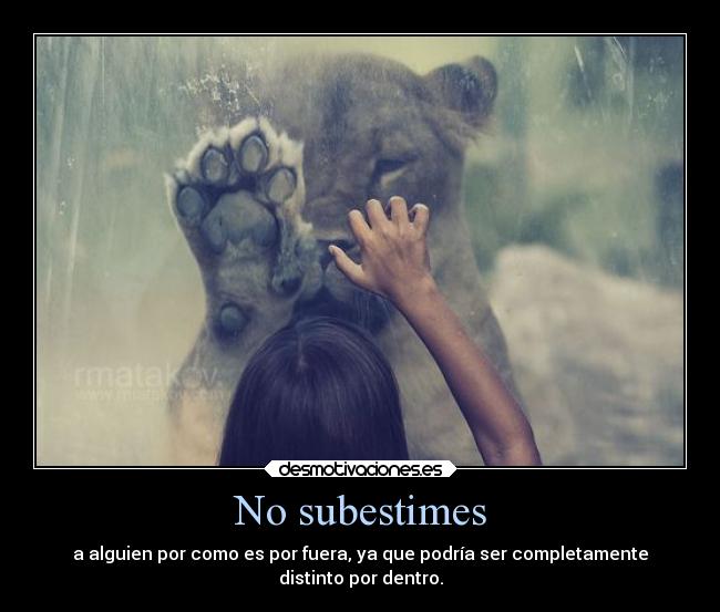 No subestimes - a alguien por como es por fuera, ya que podría ser completamente
distinto por dentro.