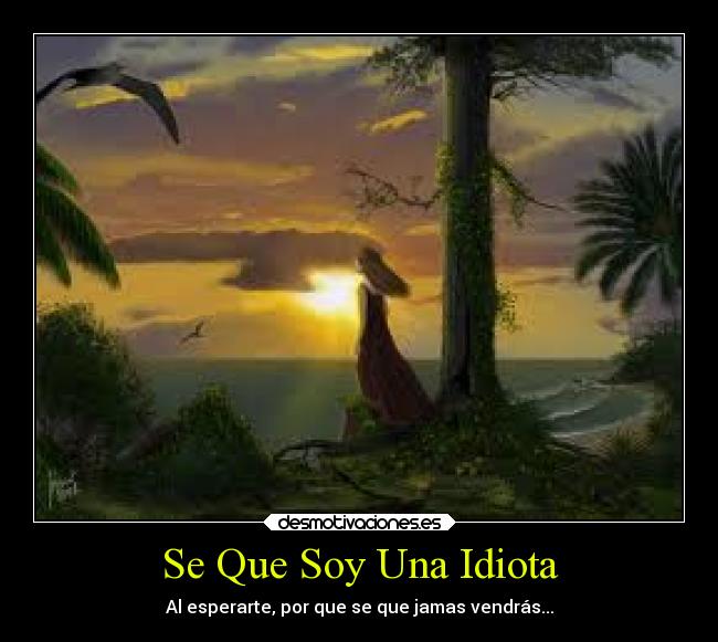 Se Que Soy Una Idiota - Al esperarte, por que se que jamas vendrás...