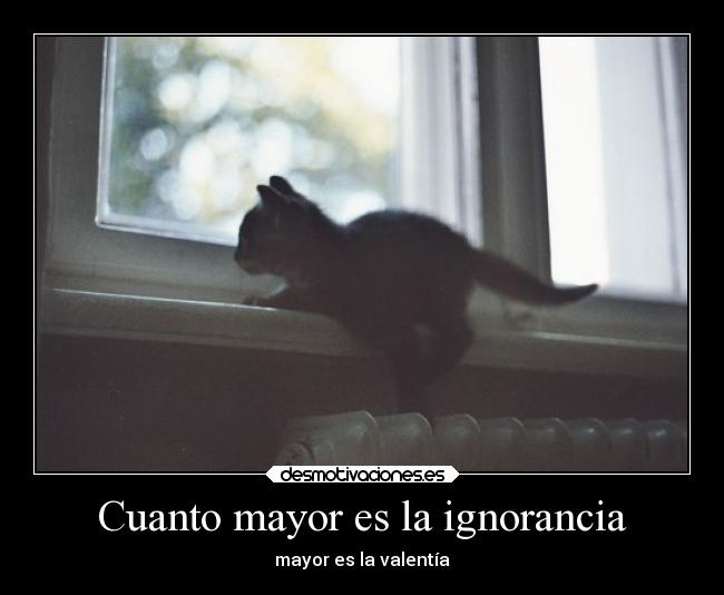 Cuanto mayor es la ignorancia - mayor es la valentía