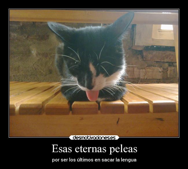 Esas eternas peleas -