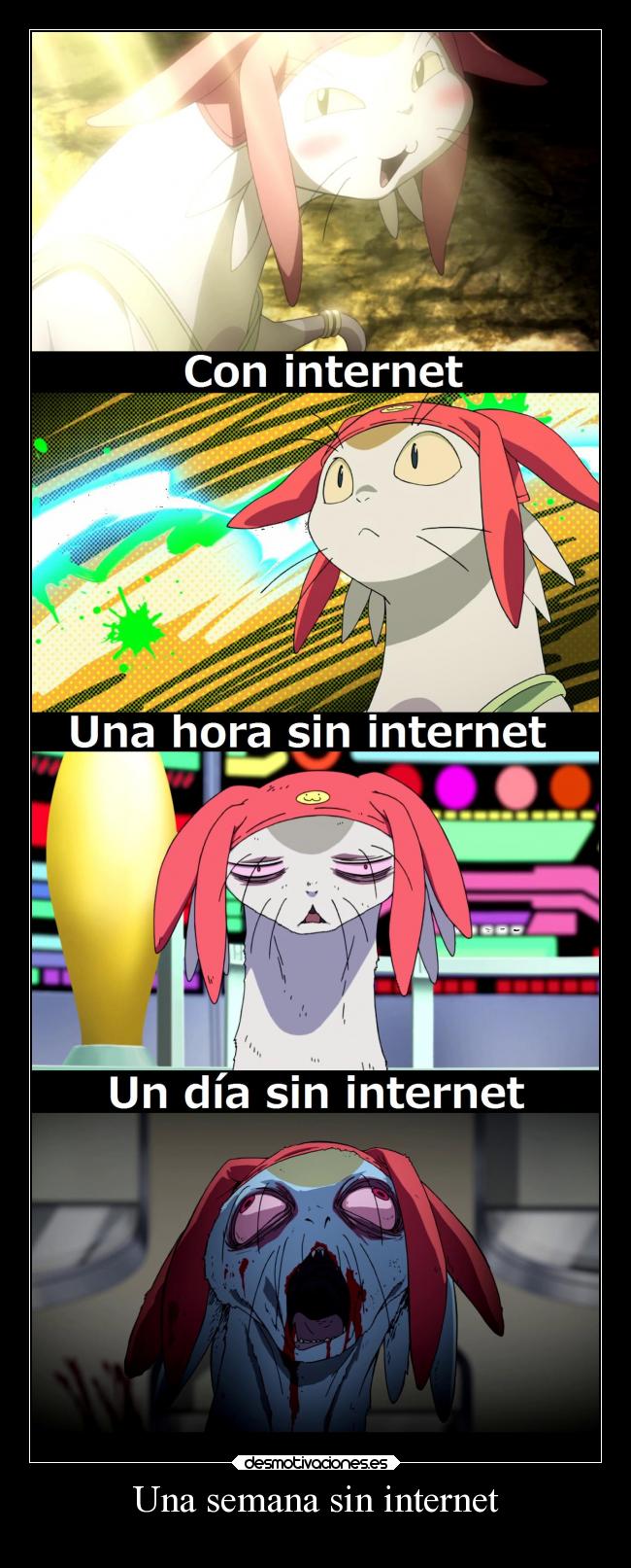 Una semana sin internet -