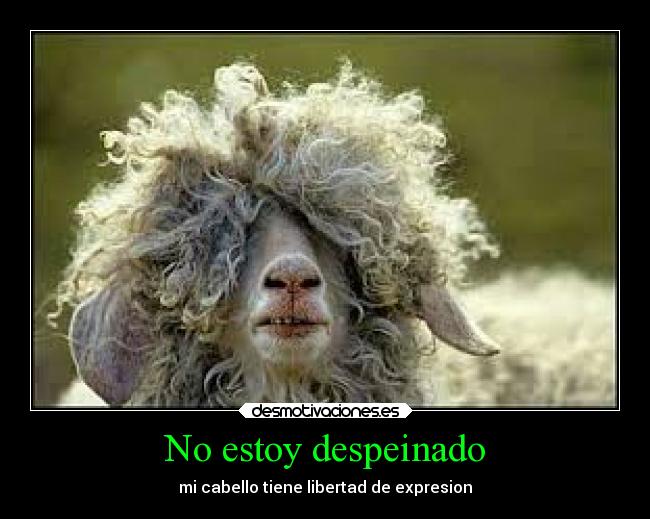 carteles libertad animales desmotivaciones