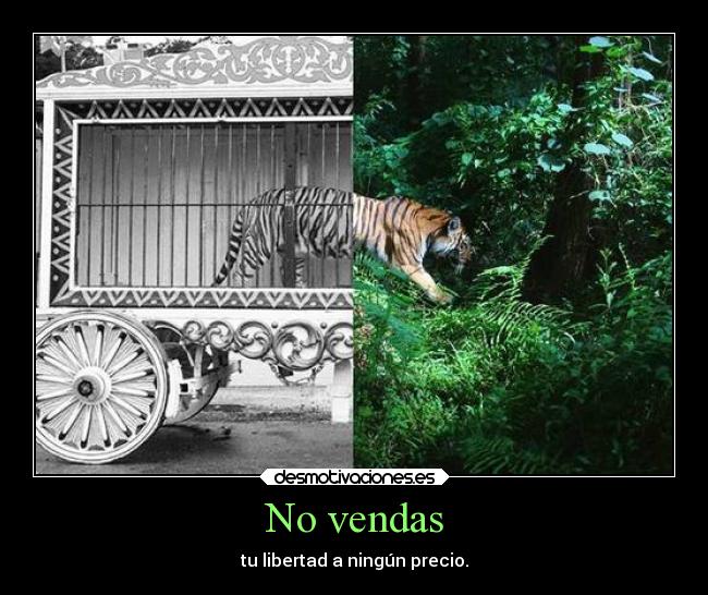 No vendas - tu libertad a ningún precio.