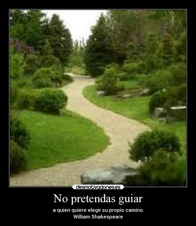 No pretendas guiar - a quien quiere elegir su propio camino.
William Shakespeare