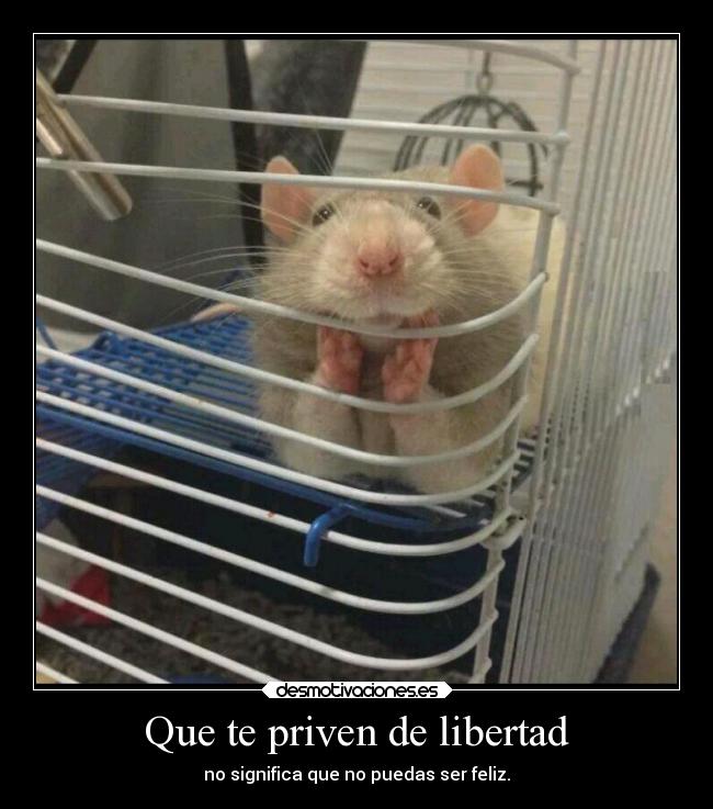 Que te priven de libertad - no significa que no puedas ser feliz.