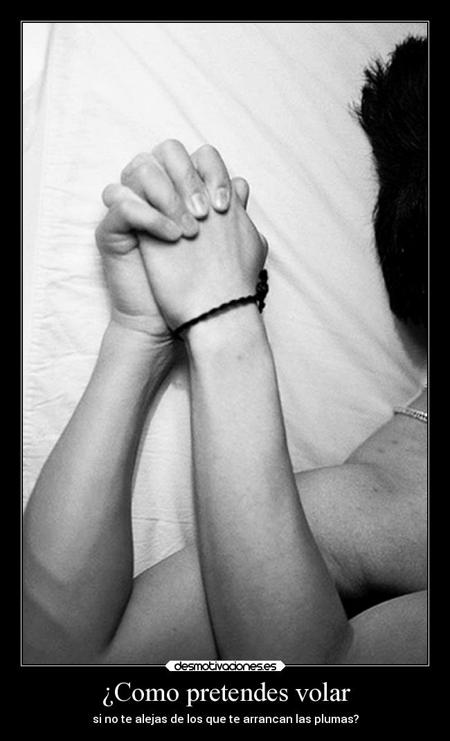 ¿Como pretendes volar - si no te alejas de los que te arrancan las plumas?