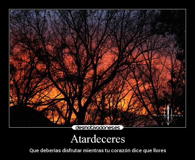 Atardeceres -