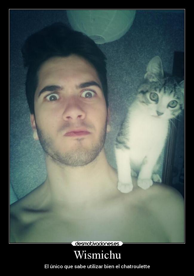 carteles locura internet alegria youtuber wismichu gato swag desmotivaciones