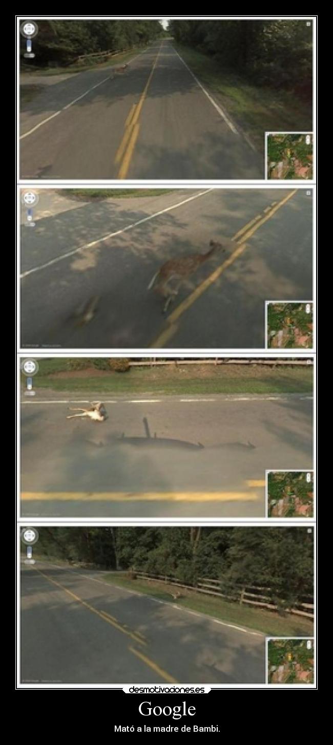 Google - Mató a la madre de Bambi.