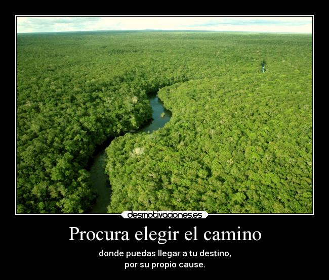 Procura elegir el camino - donde puedas llegar a tu destino,
por su propio cause.