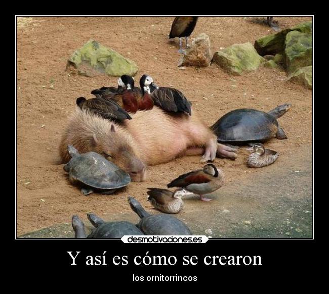 carteles memes anime humor elnota desmotivaciones