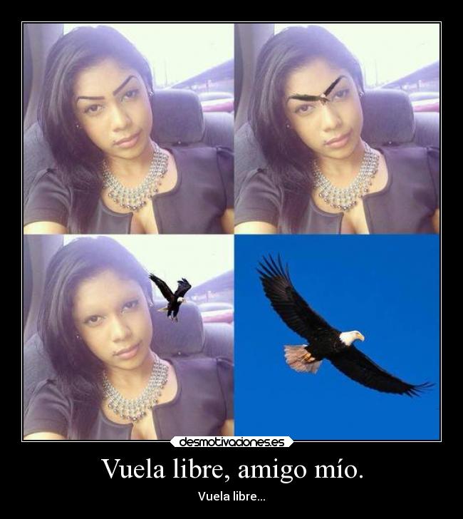 Vuela libre, amigo mío. -