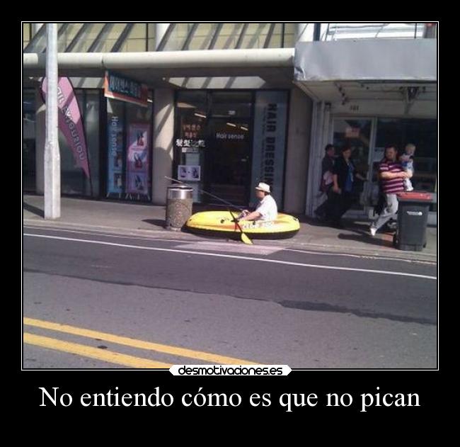 No entiendo cómo es que no pican -