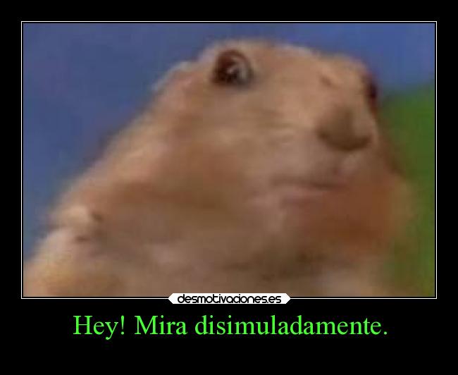 Hey! Mira disimuladamente. - 