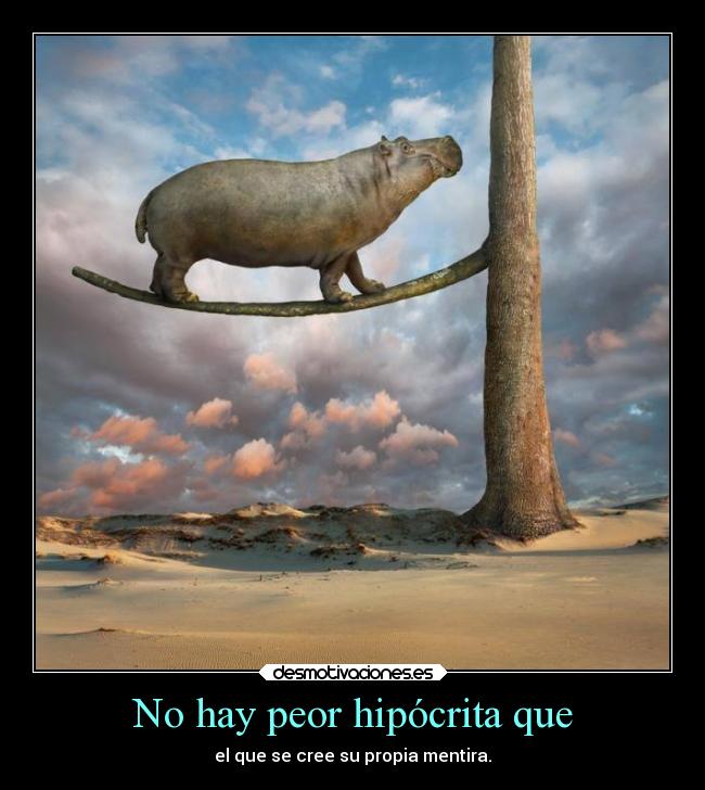 carteles mentira desmotivaciones desmotivaciones