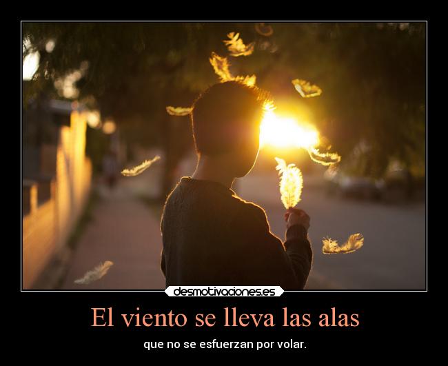 carteles miedo talento losdeliriosdepandora desdeunrincondeestemundoquesecaeapedazos suenos desmotivaciones