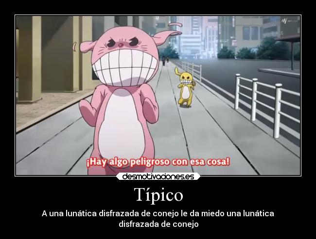 Típico - A una lunática disfrazada de conejo le da miedo una lunática
disfrazada de conejo