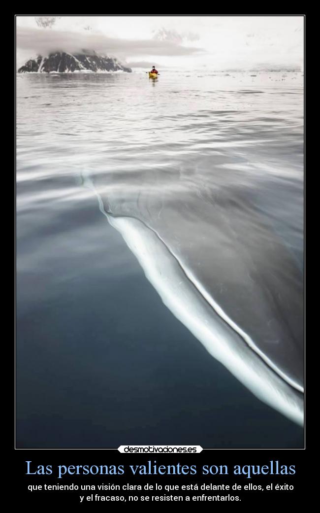 carteles miedo vida personas valor exito fracaso enfrentar perder ganar ballenasamistosas etcetcetc isaajsp desmotivaciones