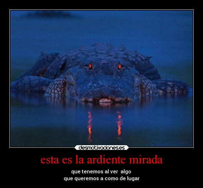 esta es la ardiente mirada - que tenemos al ver  algo 
que queremos a como de lugar