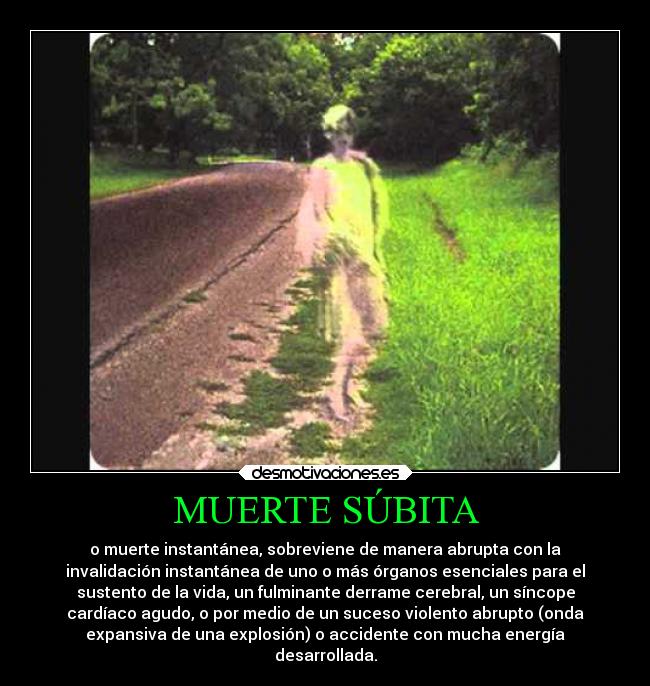 carteles muerte alma corazon muerte subita zalgo gatita199 zalgothanatos desmotivaciones