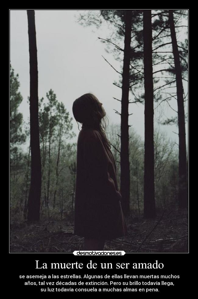 La muerte de un ser amado - se asemeja a las estrellas. Algunas de ellas llevan muertas muchos
años, tal vez décadas de extinción. Pero su brillo todavía llega,
su luz todavía consuela a muchas almas en pena.