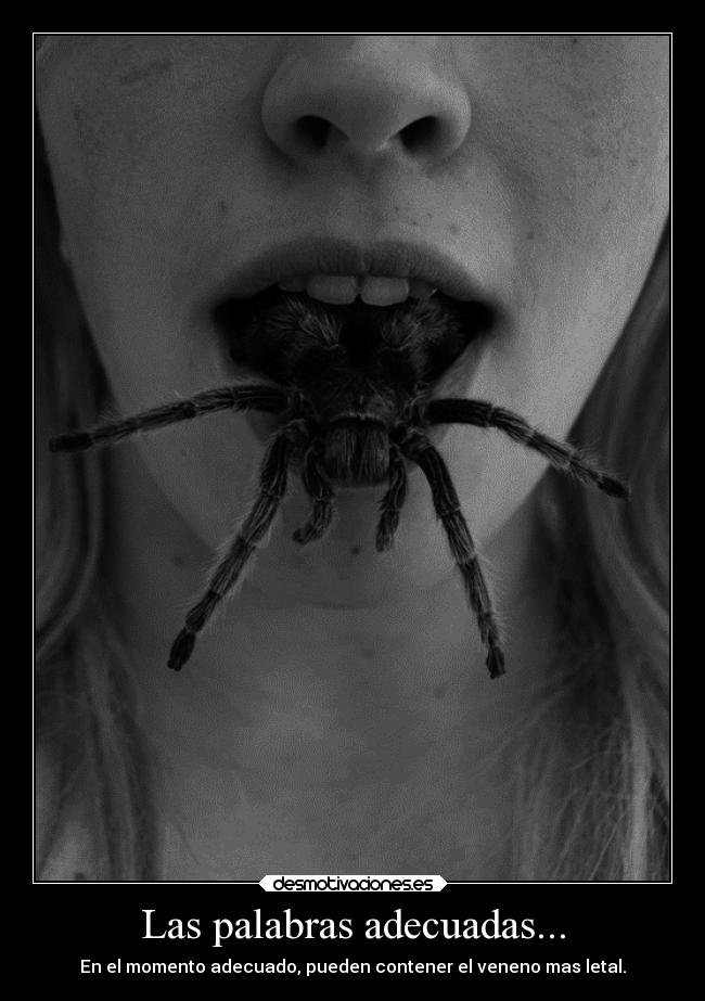 Las palabras adecuadas... - 