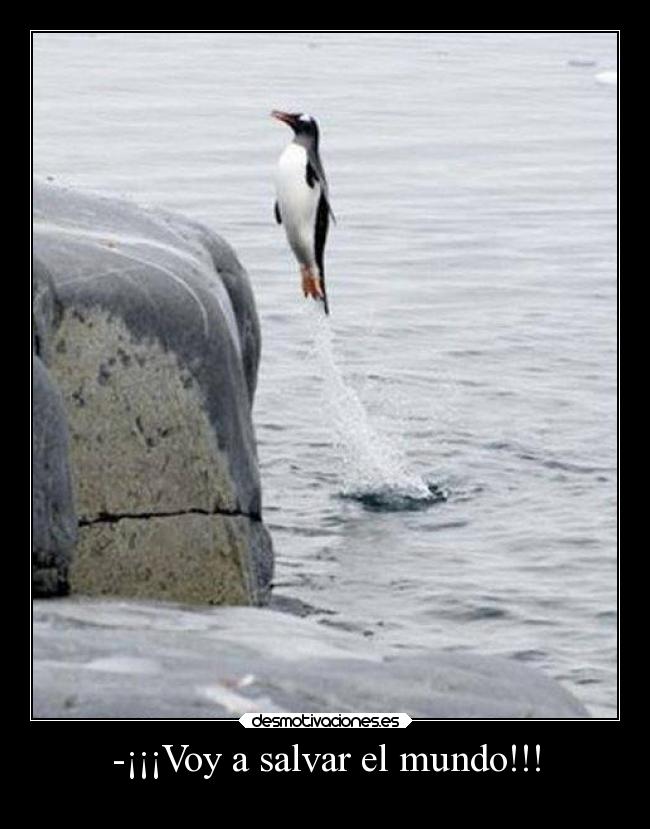 carteles mundo mundo animales humor desmotivaciones