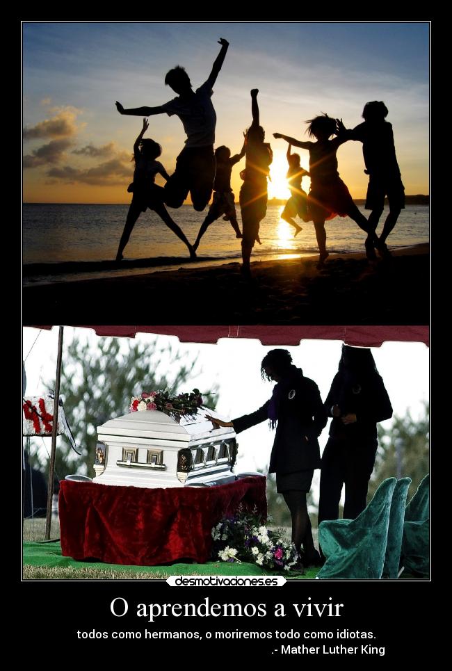 carteles mundo aprender vivir juntos todos hermanos persona morir idiota tontos ignorar raptorhunters desmotivaciones