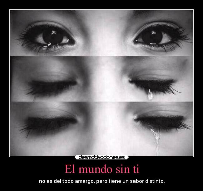 El mundo sin ti - 