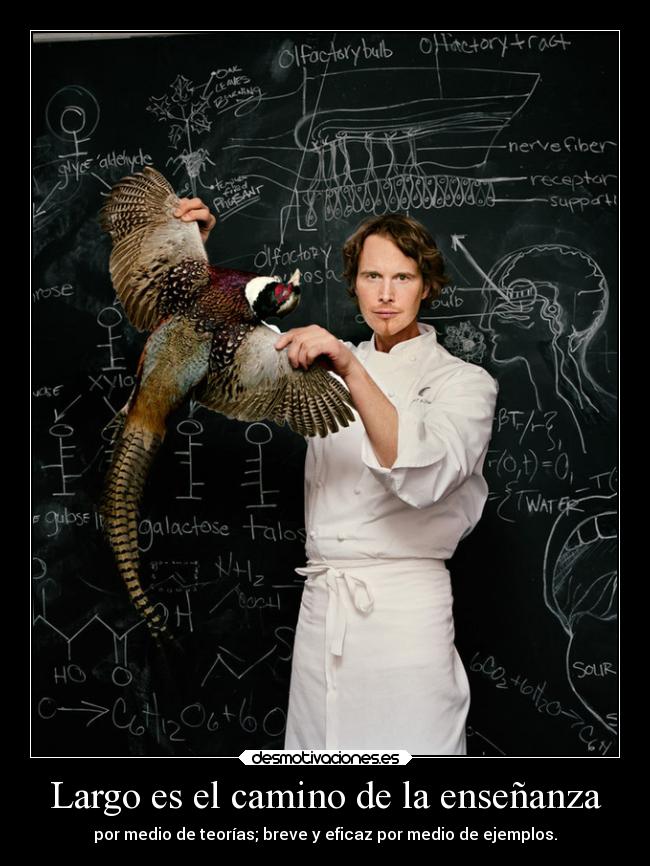 Largo es el camino de la enseñanza -