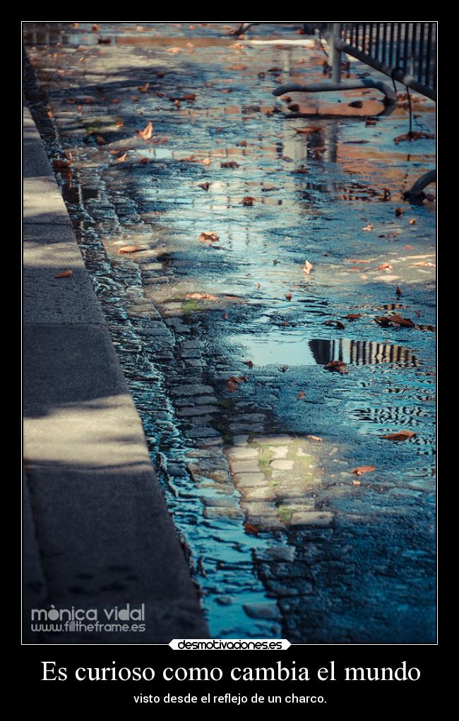 Es curioso como cambia el mundo - visto desde el reflejo de un charco.
