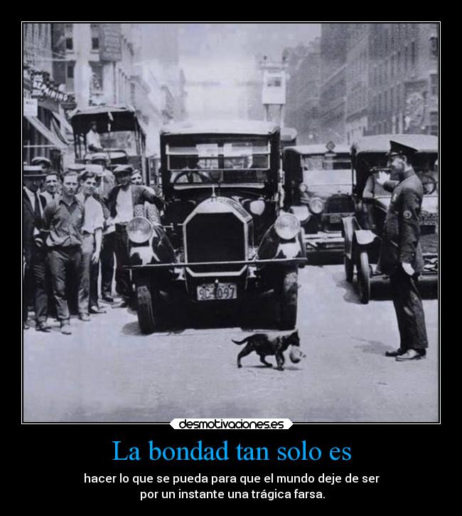 La bondad tan solo es -