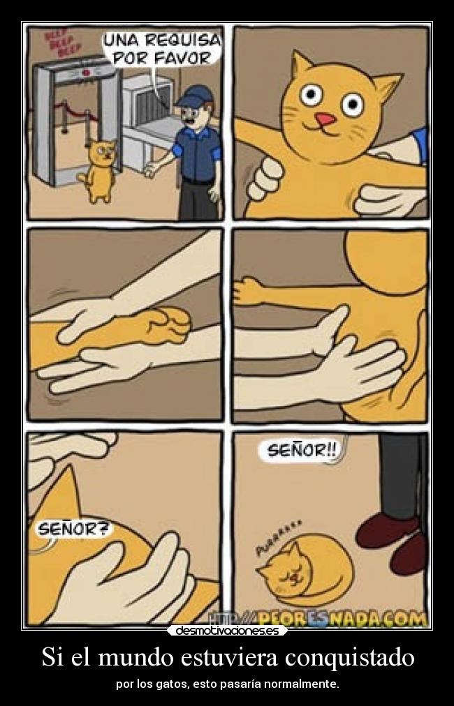 Si el mundo estuviera conquistado - por los gatos, esto pasaría normalmente.